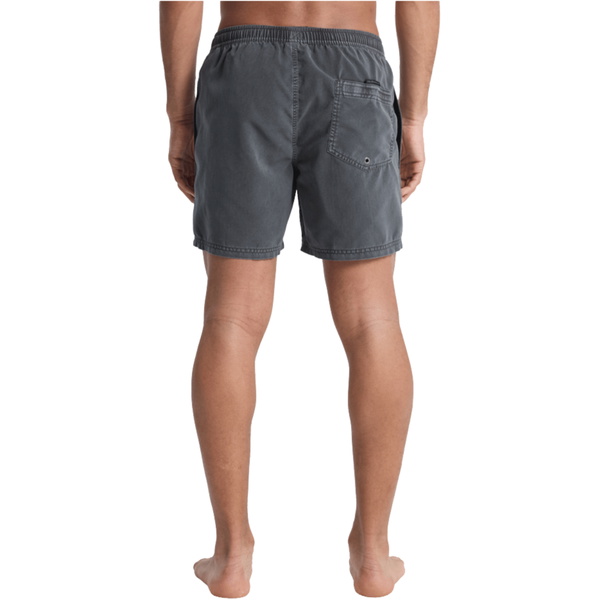 2026 Quiksilver Mens Everyday Surfwash Volley 15